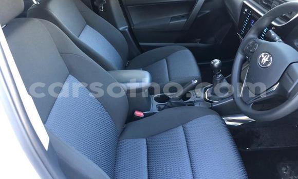 Buy Used Toyota Corolla White Car in Maseru in Maseru Buy Used Toyota Corolla White Car in Maseru in Maseru