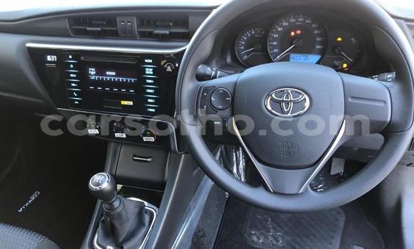 Buy Used Toyota Corolla White Car in Maseru in Maseru Buy Used Toyota Corolla White Car in Maseru in Maseru