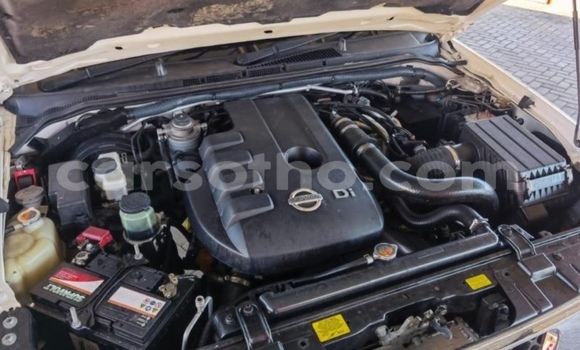 Acheter Occasion Voiture Nissan Navara Blanc à Maputsoa, Leribe Acheter Occasion Voiture Nissan Navara Blanc à Maputsoa, Leribe