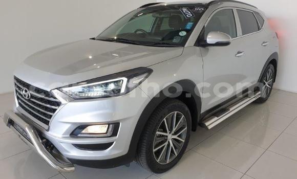 اشتري مستعمل Hyundai Tucson Silver سيارة في Maseru في Maseru اشتري مستعمل Hyundai Tucson Silver سيارة في Maseru في Maseru