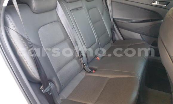 Buy Used Hyundai Tucson Silver Car in Maseru in Maseru Buy Used Hyundai Tucson Silver Car in Maseru in Maseru