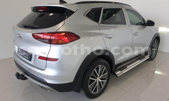 Buy Used Hyundai Tucson Silver Car in Maseru in Maseru Buy Used Hyundai Tucson Silver Car in Maseru in Maseru