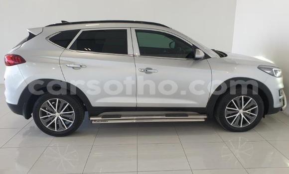 Buy Used Hyundai Tucson Silver Car in Maseru in Maseru Buy Used Hyundai Tucson Silver Car in Maseru in Maseru