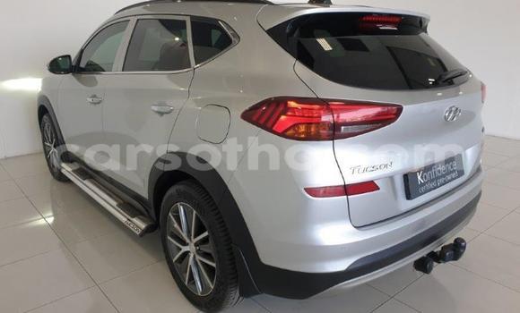Buy Used Hyundai Tucson Silver Car in Maseru in Maseru Buy Used Hyundai Tucson Silver Car in Maseru in Maseru