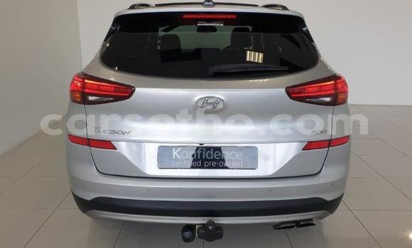Buy Used Hyundai Tucson Silver Car in Maseru in Maseru Buy Used Hyundai Tucson Silver Car in Maseru in Maseru