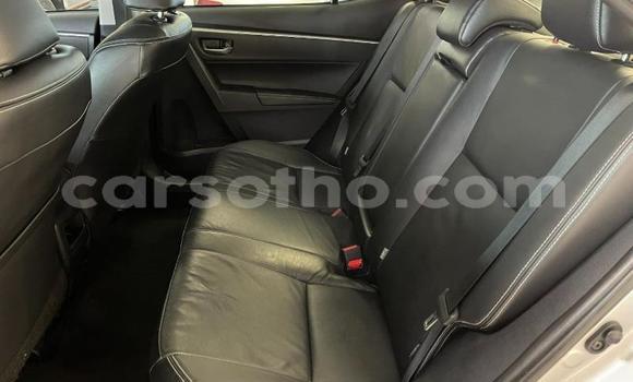 Sayi Na hannu Toyota Corolla Silver Mota in Maseru a Maseru Sayi Na hannu Toyota Corolla Silver Mota in Maseru a Maseru