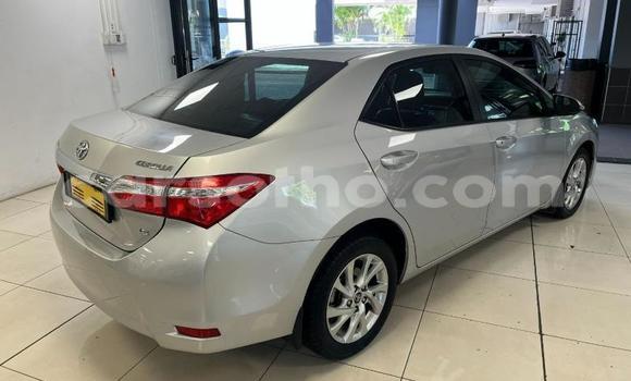 Sayi Na hannu Toyota Corolla Silver Mota in Maseru a Maseru Sayi Na hannu Toyota Corolla Silver Mota in Maseru a Maseru