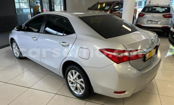 Sayi Na hannu Toyota Corolla Silver Mota in Maseru a Maseru Sayi Na hannu Toyota Corolla Silver Mota in Maseru a Maseru