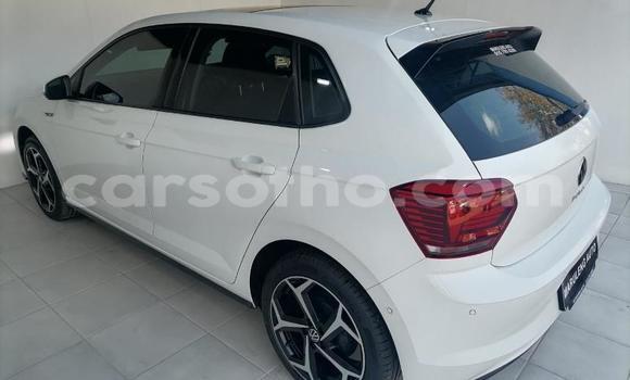 Buy Used Volkswagen Polo White Car in Maseru in Maseru Buy Used Volkswagen Polo White Car in Maseru in Maseru