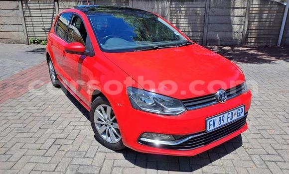 Sayi Na hannu Volkswagen Polo Red Mota in Maseru a Maseru