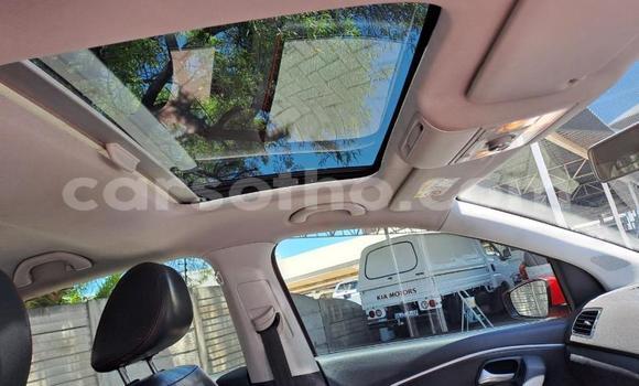 اشتري مستعمل Volkswagen Polo Red سيارة في Maseru في Maseru اشتري مستعمل Volkswagen Polo Red سيارة في Maseru في Maseru