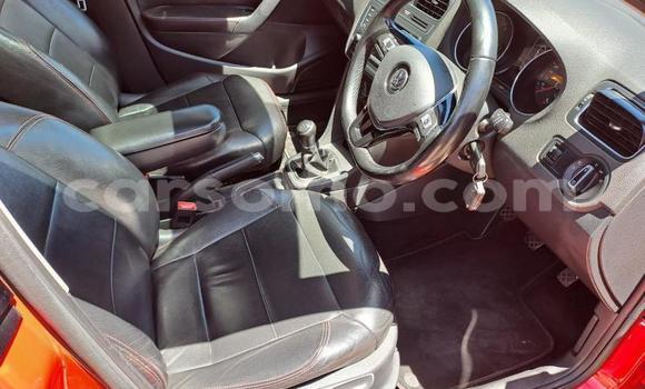 اشتري مستعمل Volkswagen Polo Red سيارة في Maseru في Maseru اشتري مستعمل Volkswagen Polo Red سيارة في Maseru في Maseru
