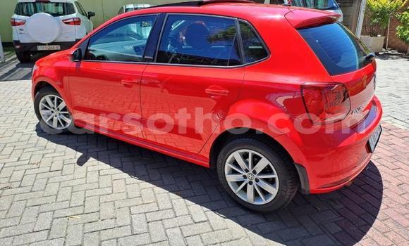 اشتري مستعمل Volkswagen Polo Red سيارة في Maseru في Maseru اشتري مستعمل Volkswagen Polo Red سيارة في Maseru في Maseru