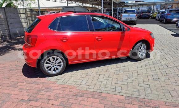 اشتري مستعمل Volkswagen Polo Red سيارة في Maseru في Maseru اشتري مستعمل Volkswagen Polo Red سيارة في Maseru في Maseru