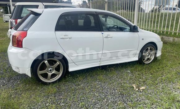 اشتري مستعمل Toyota Allex White سيارة في Maseru في Maseru