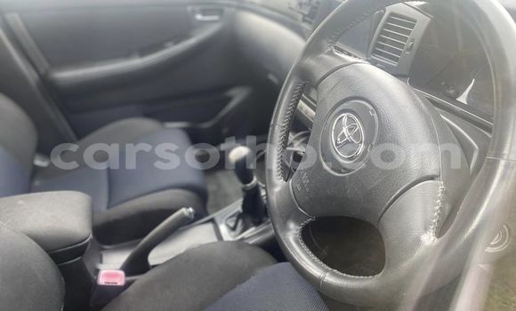 Acheter Occasion Voiture Toyota Allex Blanc à Maseru, Maseru Acheter Occasion Voiture Toyota Allex Blanc à Maseru, Maseru