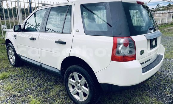 Acheter Occasion Voiture Land Rover Freelander Blanc à Maseru, Maseru Acheter Occasion Voiture Land Rover Freelander Blanc à Maseru, Maseru