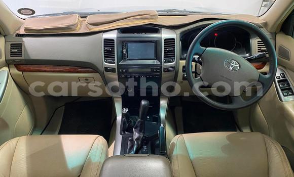 Buy Used Toyota Land Cruiser Prado Silver Car in Maseru in Maseru Buy Used Toyota Land Cruiser Prado Silver Car in Maseru in Maseru