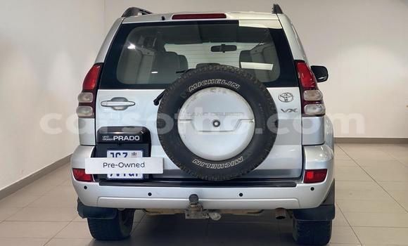 Buy Used Toyota Land Cruiser Prado Silver Car in Maseru in Maseru Buy Used Toyota Land Cruiser Prado Silver Car in Maseru in Maseru