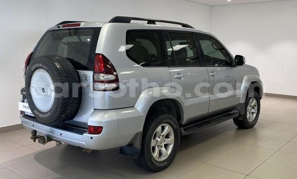 Buy Used Toyota Land Cruiser Prado Silver Car in Maseru in Maseru Buy Used Toyota Land Cruiser Prado Silver Car in Maseru in Maseru