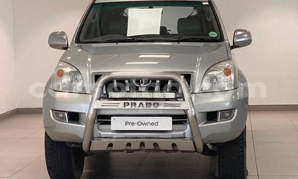 Buy Used Toyota Land Cruiser Prado Silver Car in Maseru in Maseru Buy Used Toyota Land Cruiser Prado Silver Car in Maseru in Maseru
