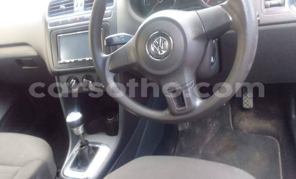 اشتري مستعمل Volkswagen Polo Blue سيارة في Maseru في Maseru اشتري مستعمل Volkswagen Polo Blue سيارة في Maseru في Maseru