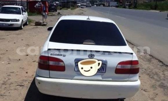 اشتري مستعمل Toyota Corolla White سيارة في Maseru في Maseru اشتري مستعمل Toyota Corolla White سيارة في Maseru في Maseru
