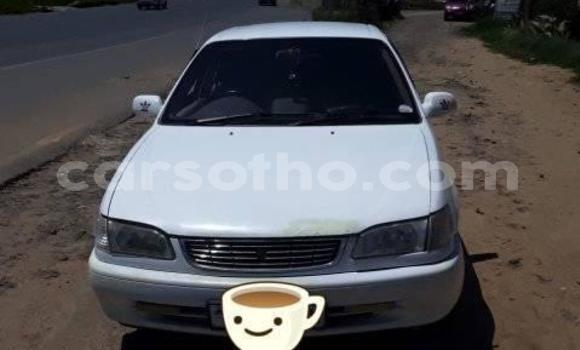 اشتري مستعمل Toyota Corolla White سيارة في Maseru في Maseru اشتري مستعمل Toyota Corolla White سيارة في Maseru في Maseru
