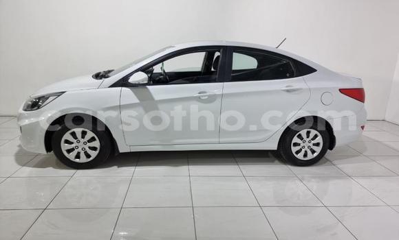 اشتري مستعمل Hyundai Accent White سيارة في Maseru في Maseru اشتري مستعمل Hyundai Accent White سيارة في Maseru في Maseru