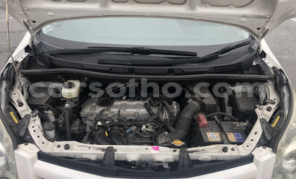 اشتري مستعمل Toyota Noah White سيارة في Maseru في Maseru اشتري مستعمل Toyota Noah White سيارة في Maseru في Maseru