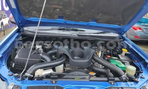 اشتري مستعمل Isuzu KB Blue سيارة في Maseru في Maseru اشتري مستعمل Isuzu KB Blue سيارة في Maseru في Maseru