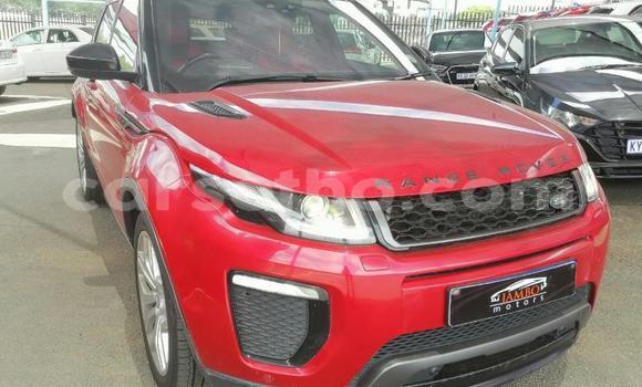 اشتري مستعمل Land Rover Range Rover Evoque Red سيارة في Maputsoe في Leribe اشتري مستعمل Land Rover Range Rover Evoque Red سيارة في Maputsoe في Leribe