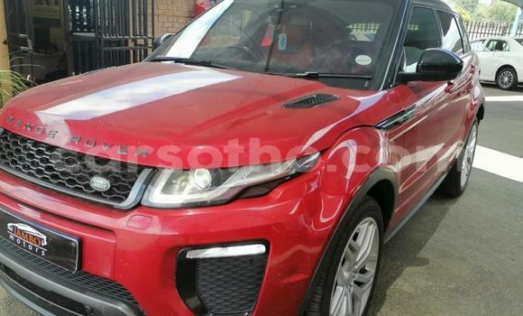 Acheter Occasion Voiture Land Rover Range Rover Evoque Rouge à Maputsoe, Leribe Acheter Occasion Voiture Land Rover Range Rover Evoque Rouge à Maputsoe, Leribe
