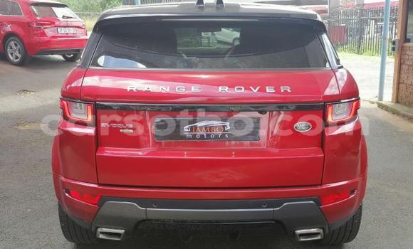 Acheter Occasion Voiture Land Rover Range Rover Evoque Rouge à Maputsoe, Leribe Acheter Occasion Voiture Land Rover Range Rover Evoque Rouge à Maputsoe, Leribe
