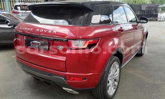 Acheter Occasion Voiture Land Rover Range Rover Evoque Rouge à Maputsoe, Leribe Acheter Occasion Voiture Land Rover Range Rover Evoque Rouge à Maputsoe, Leribe