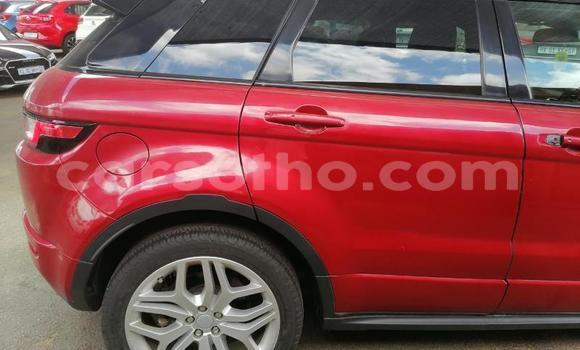 Acheter Occasion Voiture Land Rover Range Rover Evoque Rouge à Maputsoe, Leribe Acheter Occasion Voiture Land Rover Range Rover Evoque Rouge à Maputsoe, Leribe