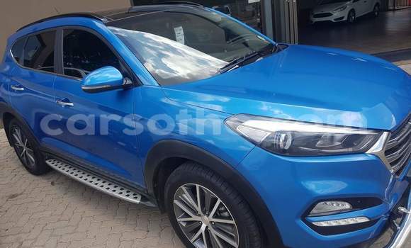 Sayi Na hannu Hyundai Tucson Blue Mota in Quthing a Butha-Buthe