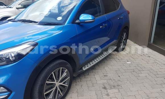 Sayi Na hannu Hyundai Tucson Blue Mota in Quthing a Butha-Buthe Sayi Na hannu Hyundai Tucson Blue Mota in Quthing a Butha-Buthe