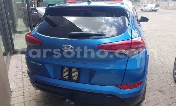 Sayi Na hannu Hyundai Tucson Blue Mota in Quthing a Butha-Buthe Sayi Na hannu Hyundai Tucson Blue Mota in Quthing a Butha-Buthe