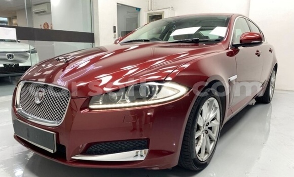 Buy Used Jaguar XF Beige Car in Maputsoe in Leribe