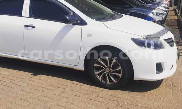 اشتري مستعمل Toyota Corolla White سيارة في Thaba–Tseka في Mafeteng