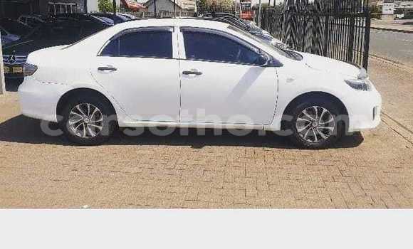 Sayi Na hannu Toyota Corolla White Mota in Thaba–Tseka a Mafeteng Sayi Na hannu Toyota Corolla White Mota in Thaba–Tseka a Mafeteng