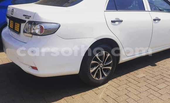 Sayi Na hannu Toyota Corolla White Mota in Thaba–Tseka a Mafeteng Sayi Na hannu Toyota Corolla White Mota in Thaba–Tseka a Mafeteng