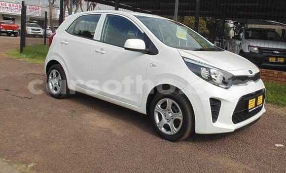 Buy Used Kia Picanto White Car in Mokhotlong in Berea Buy Used Kia Picanto White Car in Mokhotlong in Berea