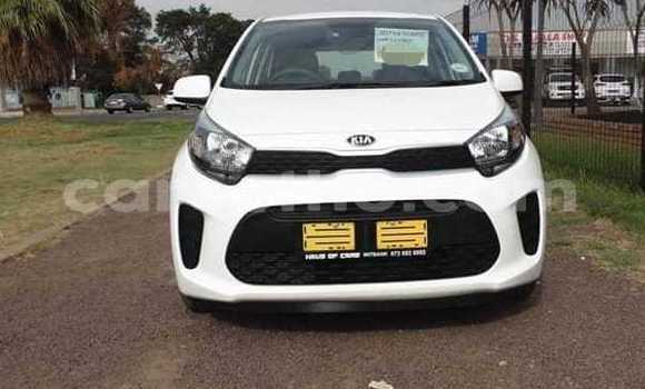 اشتري مستعمل Kia Picanto White سيارة في Mokhotlong في Berea اشتري مستعمل Kia Picanto White سيارة في Mokhotlong في Berea