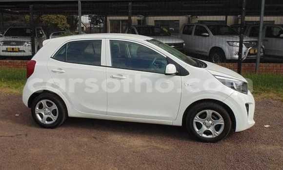 اشتري مستعمل Kia Picanto White سيارة في Mokhotlong في Berea اشتري مستعمل Kia Picanto White سيارة في Mokhotlong في Berea