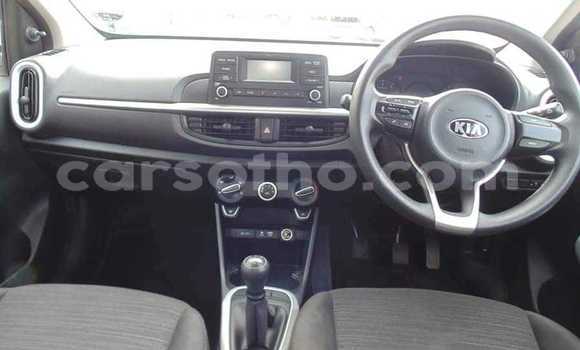 اشتري مستعمل Kia Picanto White سيارة في Mokhotlong في Berea اشتري مستعمل Kia Picanto White سيارة في Mokhotlong في Berea