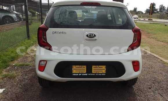 اشتري مستعمل Kia Picanto White سيارة في Mokhotlong في Berea اشتري مستعمل Kia Picanto White سيارة في Mokhotlong في Berea
