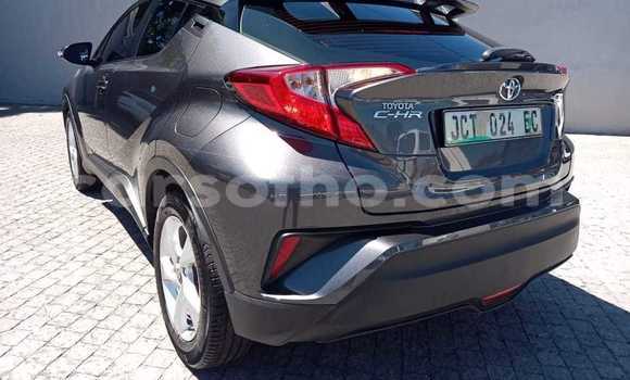 Sayi Na hannu Toyota C-HR Silver Mota in Mohale's Hoek a Mohale's Hoek Sayi Na hannu Toyota C-HR Silver Mota in Mohale's Hoek a Mohale's Hoek