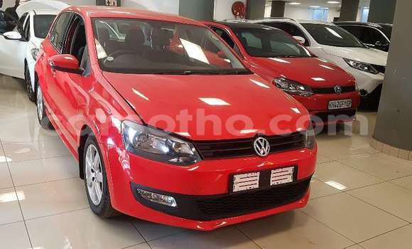 اشتري مستعمل Volkswagen Polo Red سيارة في Maseru في Maseru اشتري مستعمل Volkswagen Polo Red سيارة في Maseru في Maseru